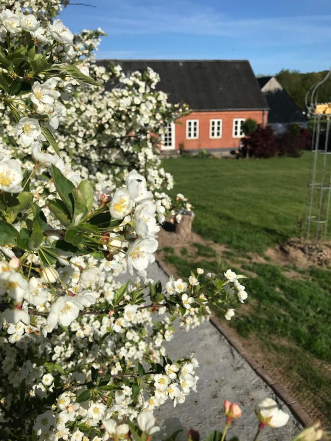 سكاندربورغ Brorup Kjaersgaard, Hygge, Ro, Natur Og Landliv المظهر الخارجي الصورة